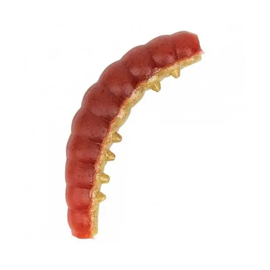 Comandă acum Worm Berkley PowerBait Honey Worm 2.5cm, culoare Red Yellow