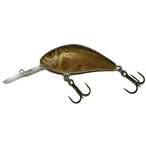Reducere extra Vobler Salmo Hornet H5SDR GSM