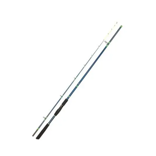 Cumpărături sigure Lanseta Golden Catch Rod Armatur Spin 2.40/100-250g