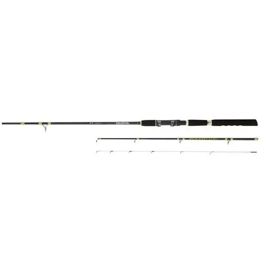 Calitate înaltă Lanseta Daiwa NT Bolentino 2.40m/30-150g