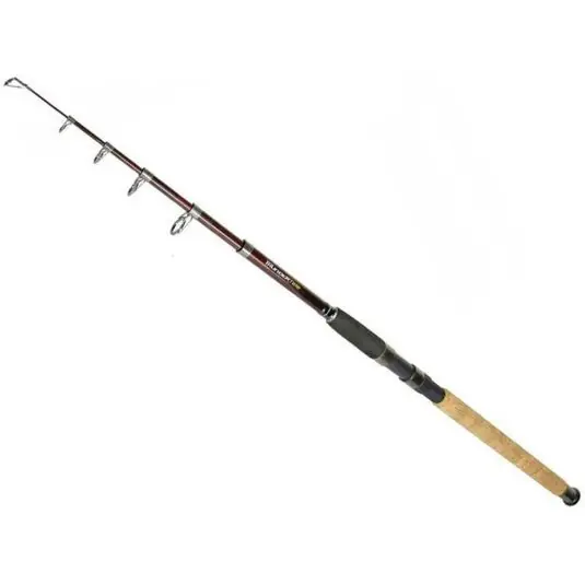 Disponibil imediat Lanseta telescopica Formax Thunder Tele 2.70m/30-60g