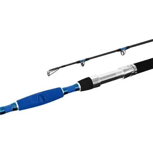 Lanseta Delphin Hazard 2.55m/500g Cel mai bun preț
