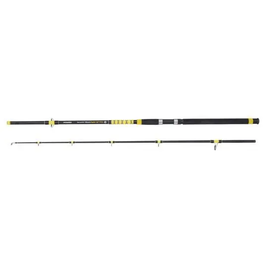 Reducere specială Lanseta Mivardi Fanatic Catfish 2.70m/200-400g