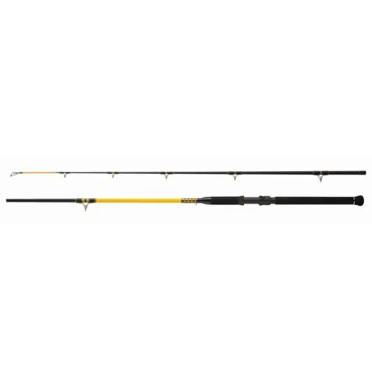 Comandă acum Lanseta WFT Never Crack Catfish Boat 2.40m/250-1000g