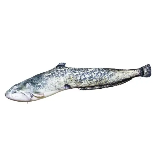 Perna EnergoTeam Catfish Monster 200cm Plată sigură