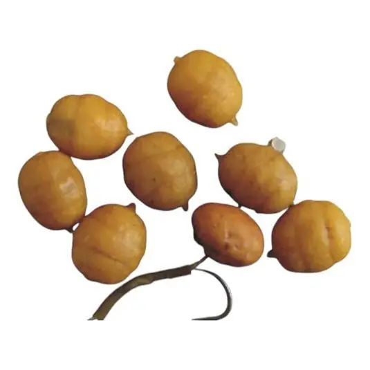 Alune Tigrate artificiale Enterprise Tackle Mini Pop-Up Tiger Nut Noutate
