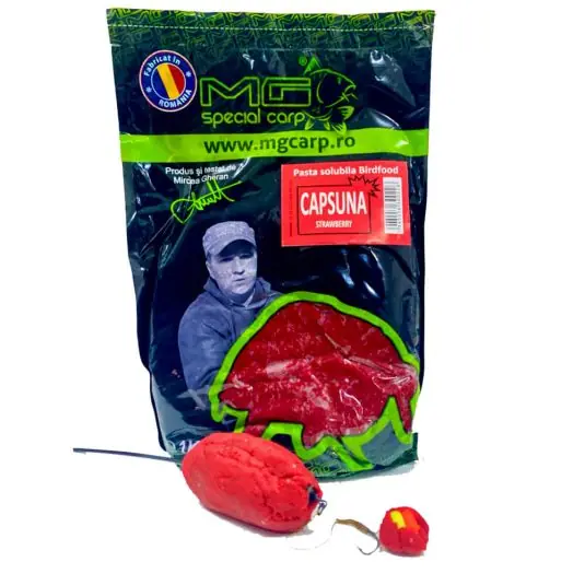 Promoție Pasta solubila MG Special Carp Birdfood 1kg - Strawberry